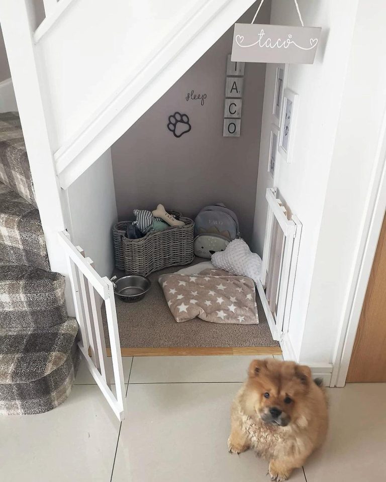 Under-Stairs Dog Rooms That Work Really Well | GoDownsize