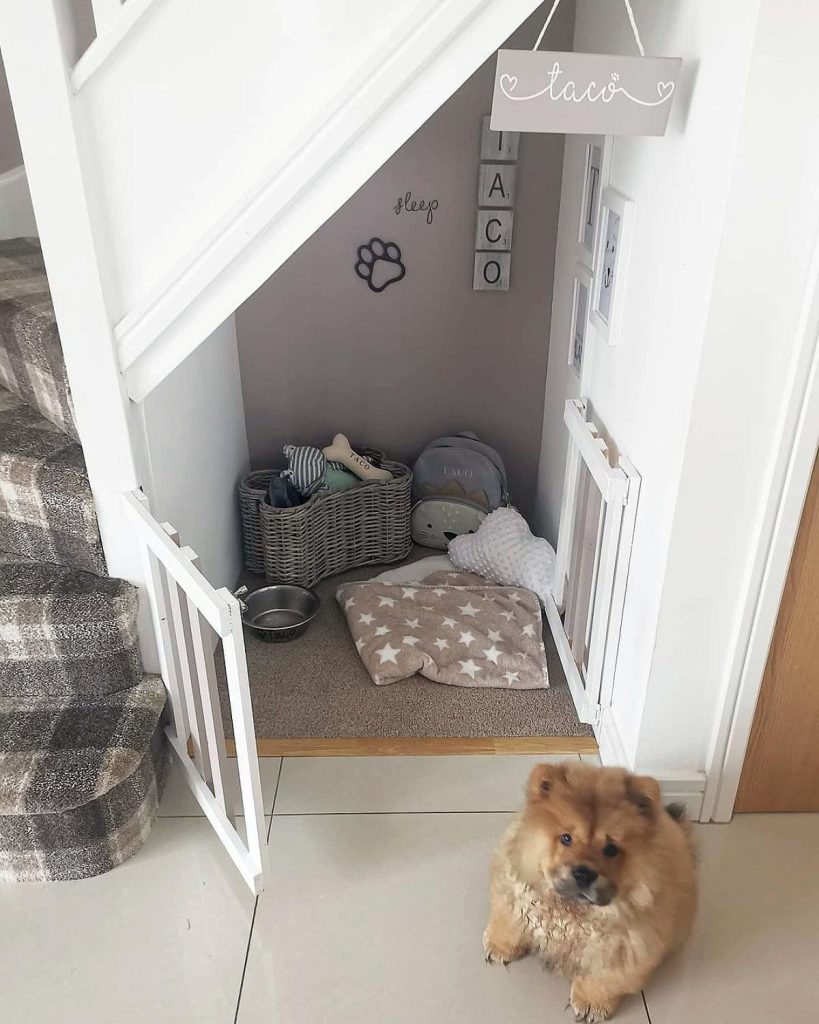 Under-Stairs Dog Rooms That Work Really Well | GoDownsize
