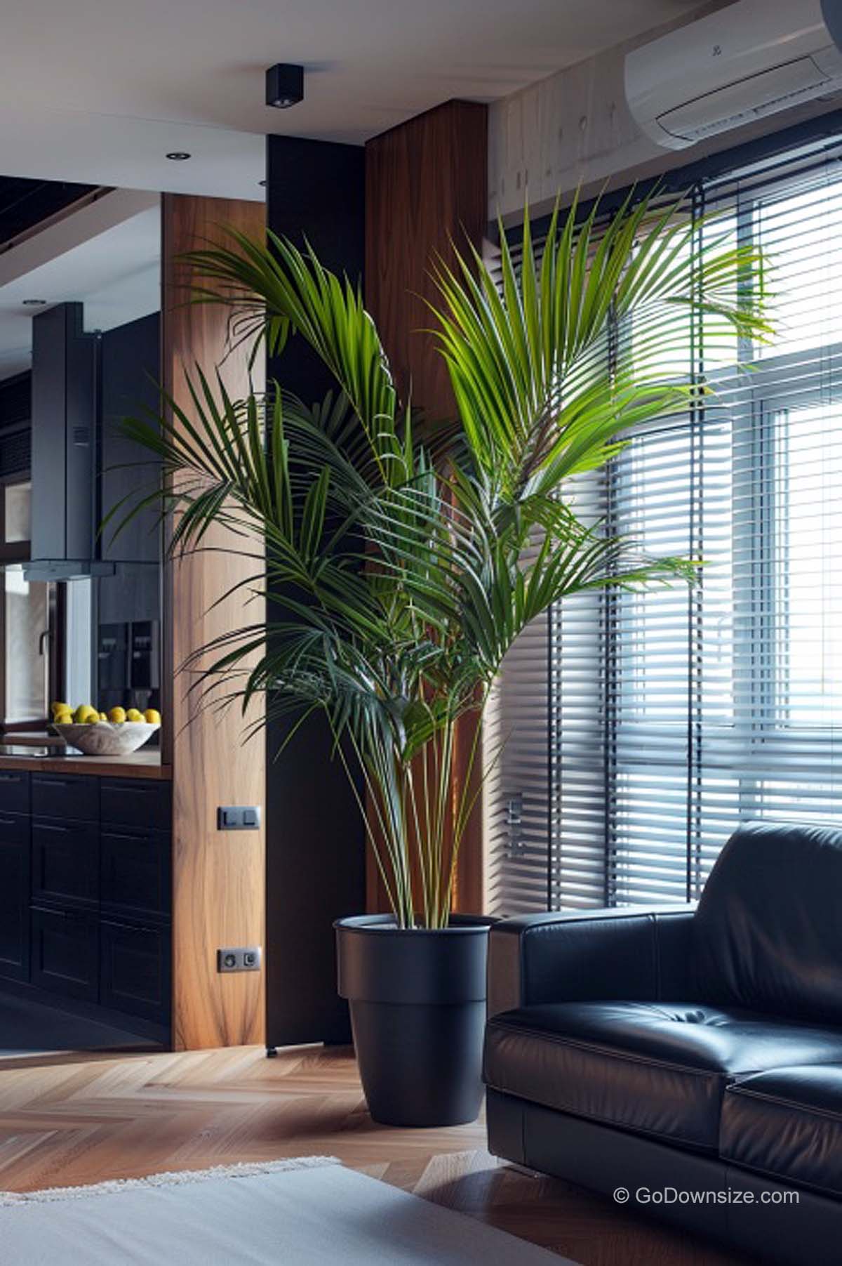 black planter and sofa