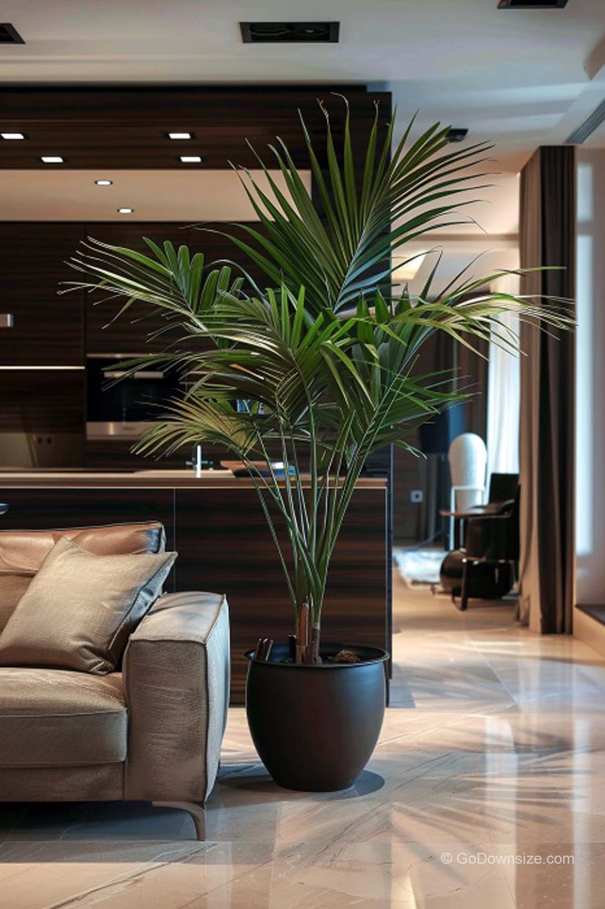 palm tree beside sofa