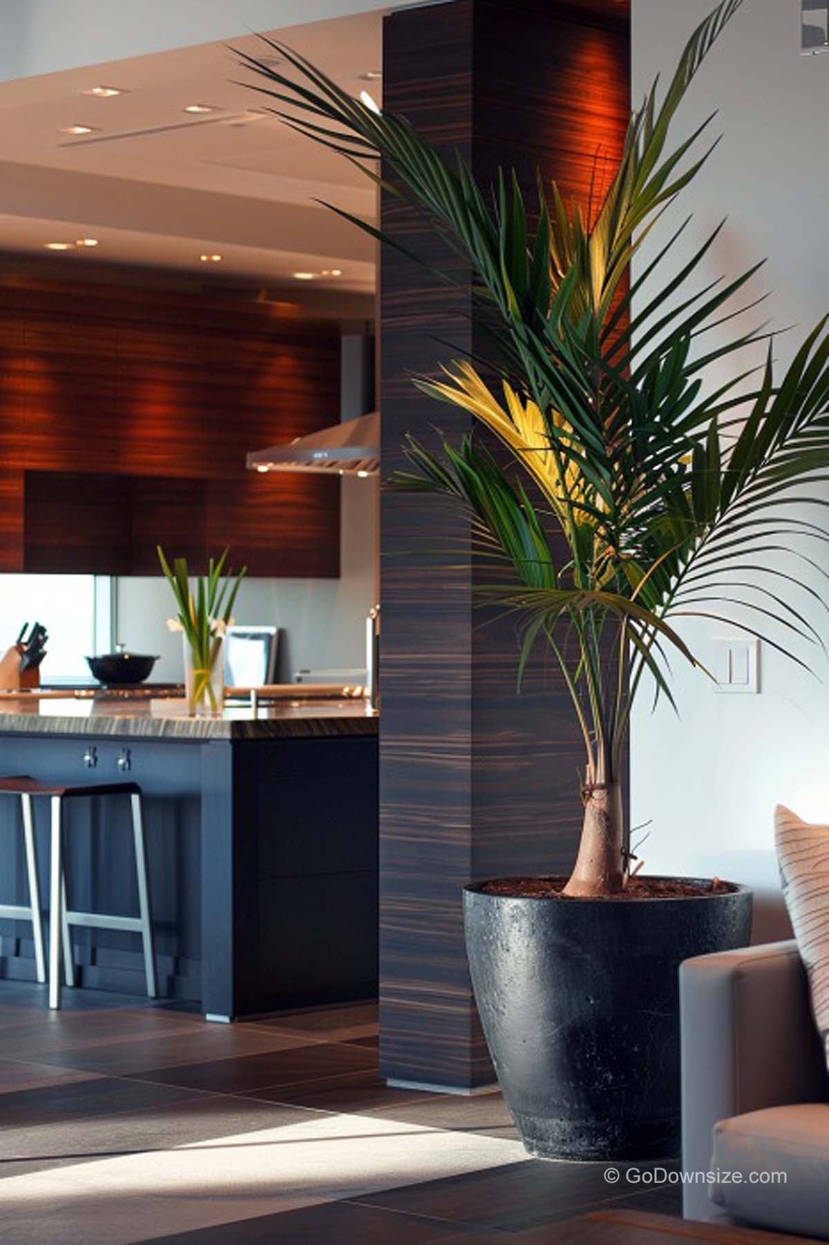 palm tree beside the sofa