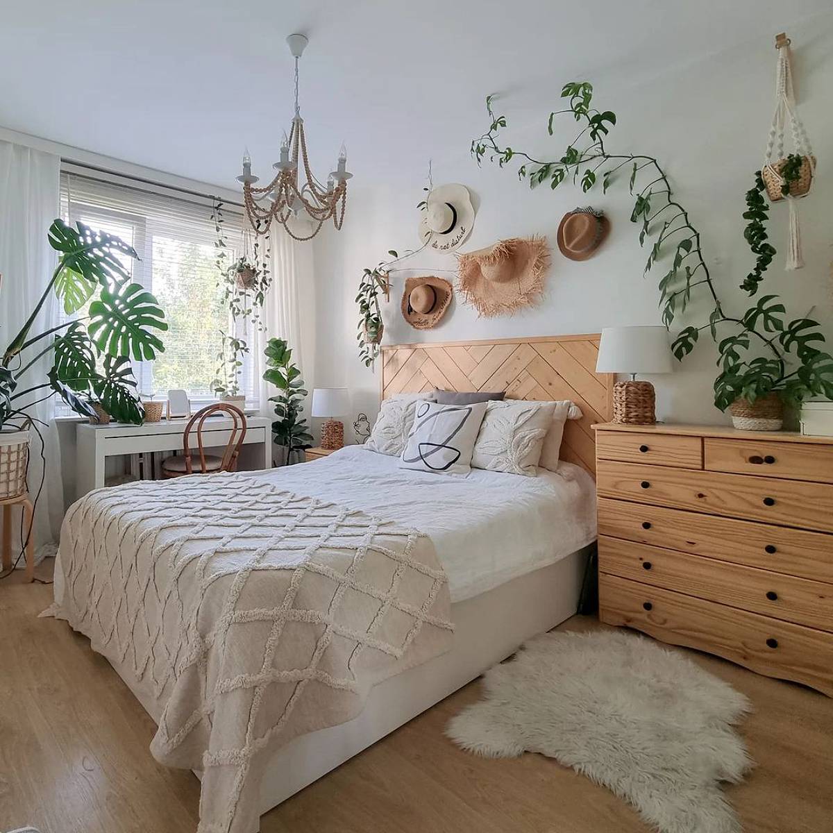 climbing plants and monstera