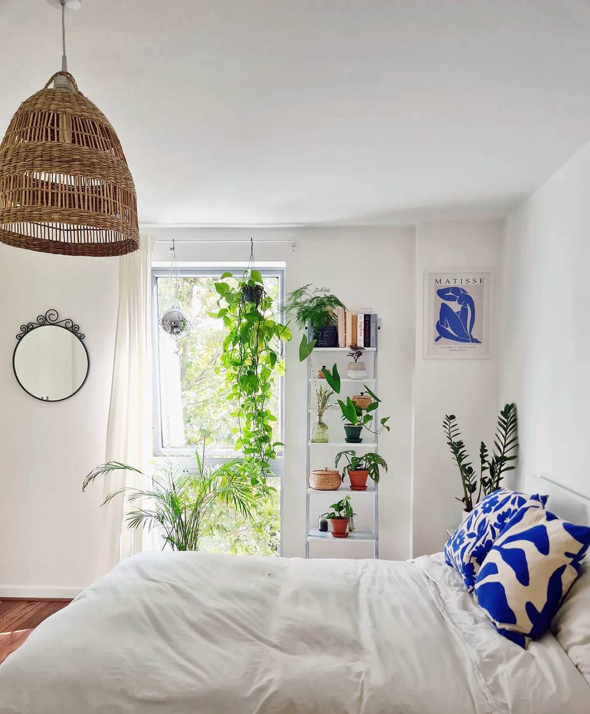 ladder shelves with plants