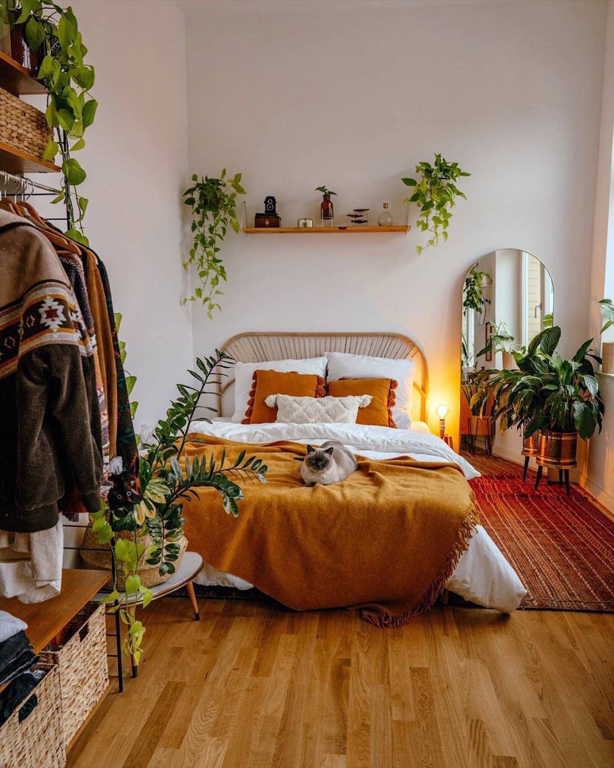 plants around orange bed